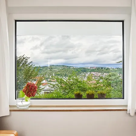 Schlossberg Τούμπινγκεν